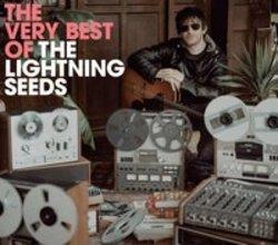 Download The Lightning Seeds ringtones for Samsung Galaxy Pocket Neo free.