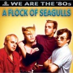 Cut A Flock Of Seagulls songs free online.