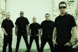 Cut The Aggrolites songs free online.