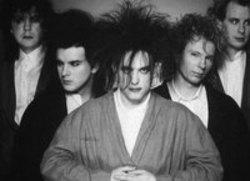 Cut The Cure songs free online.
